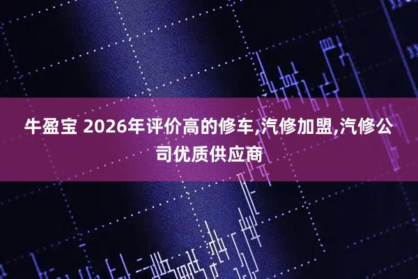 牛盈宝 2026年评价高的修车,汽修加盟,汽修公司优质供应商