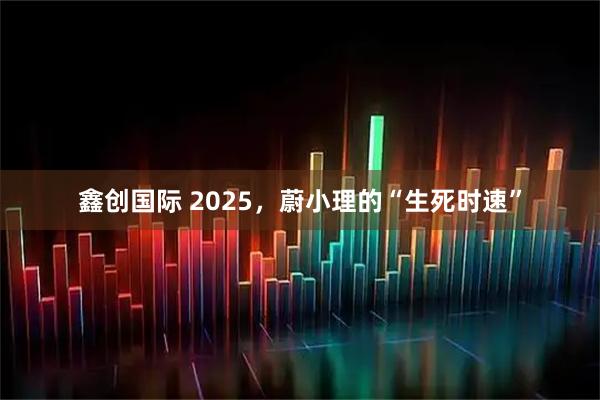 鑫创国际 2025，蔚小理的“生死时速”