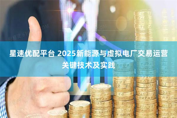 星速优配平台 2025新能源与虚拟电厂交易运营关键技术及实践