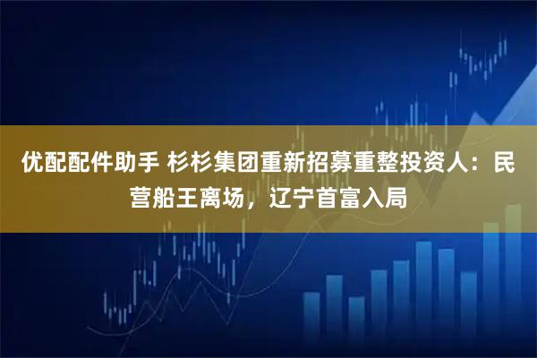 优配配件助手 杉杉集团重新招募重整投资人：民营船王离场，辽宁首富入局